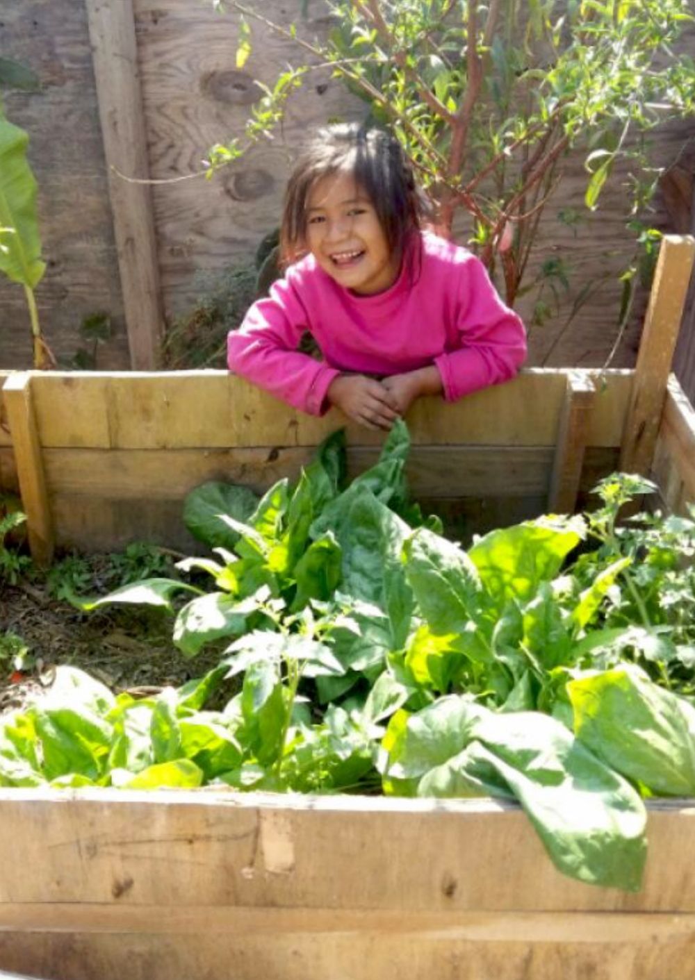 Ecotecnias instaladas para estilos de vida sostenibles